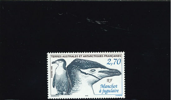 Immagine di 236 - FAUNA ANTARTICA