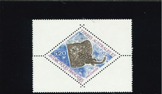 Immagine di 240 - FAUNA MARINA