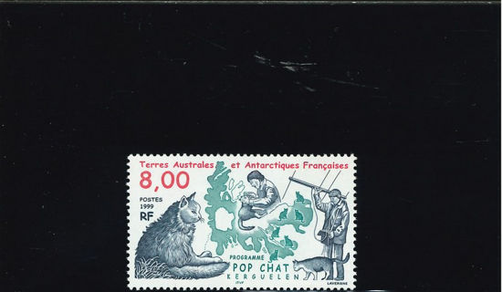 Immagine di 242 - FAUNA: GATTI