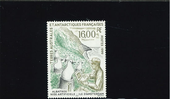 Immagine di 243 - FAUNA: ALBATROS