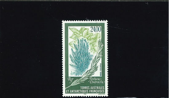 Immagine di 244 - FLORA