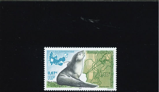 Immagine di 264 - FAUNA MARINA