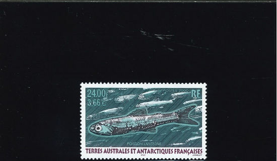 Immagine di 268 - FAUNA ANTARTICA