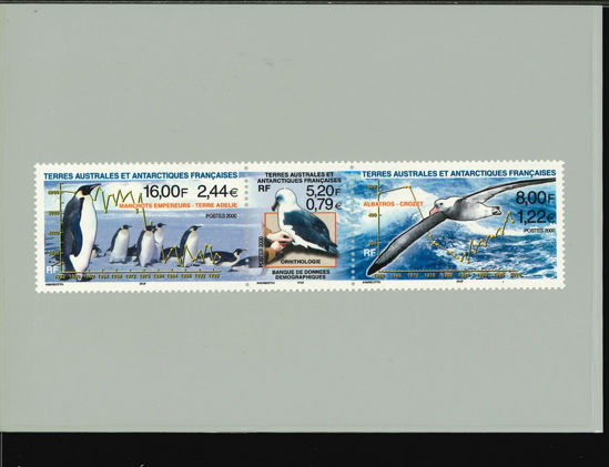 Immagine di 270 - FAUNA: PINGUINI E UCCELLI -STRISCIA-