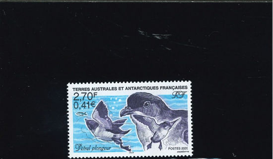 Immagine di 288 - FAUNA