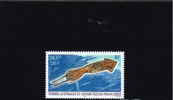 Immagine di 290 - FAUNA MARINA