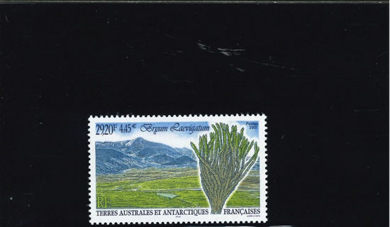 Immagine di 293 - FLORA