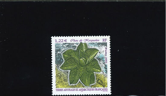 Immagine di 333 - FLORA