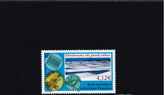 Immagine di 338 - FLORA