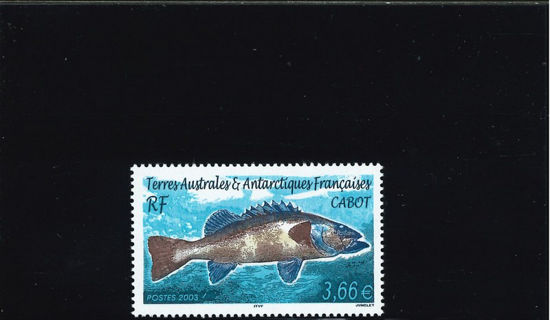 Immagine di 359 - FAUNA