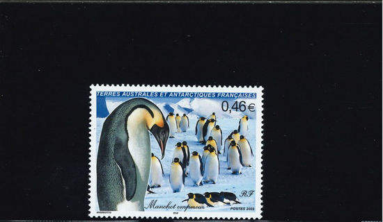 Immagine di 360 - FAUNA: UCCELLI  