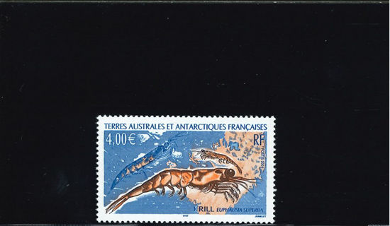 Immagine di 386 - FAUNA MARINA: CROSTACEI