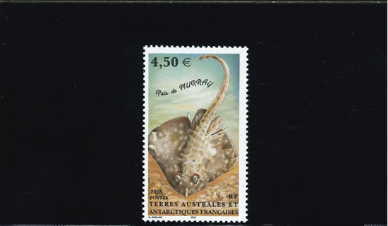 Immagine di 413 - FAUNA MARINA: PESCI