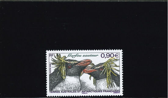 Immagine di 502 - FAUNA: UCCELLI