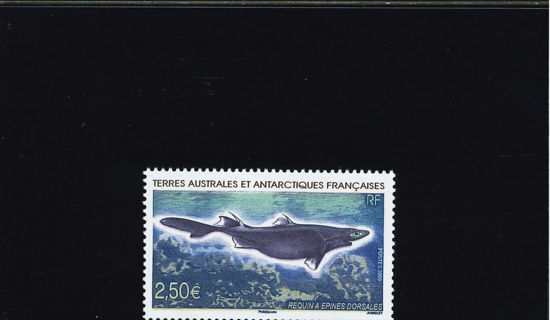 Immagine di 525 - FAUNA MARINA: PESCI