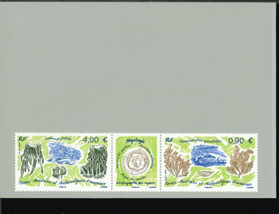 Immagine di 528 - FLORA