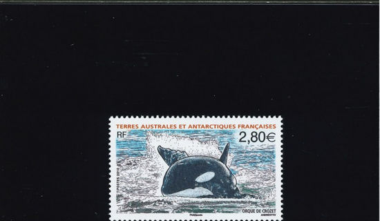 Immagine di 552 - FAUNA MARINA: CETACEI