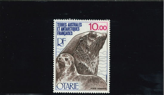 Immagine di 48 - FAUNA