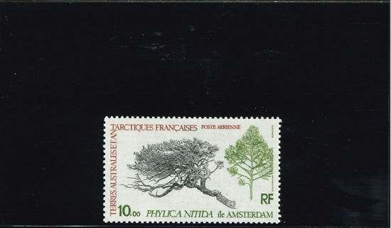 Immagine di 60 - FLORA