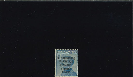 Immagine di 125 - CONGRESSO FILATELICO 0.25 VAL. 1