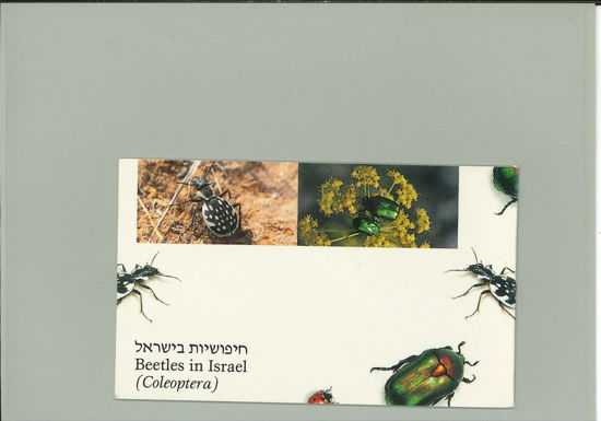 Immagine di 28 - INSETTI