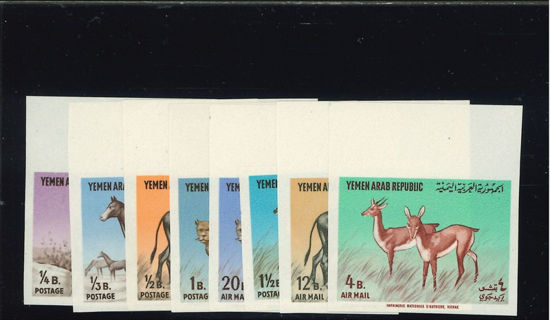 Immagine di 382B - ANIMALI ND.  + PA. (MICHEL)