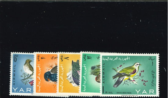 Immagine di 41 - FAUNA UCCELLI