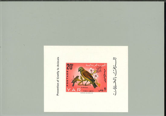 Immagine di 34 - FAUNA UCCELLI