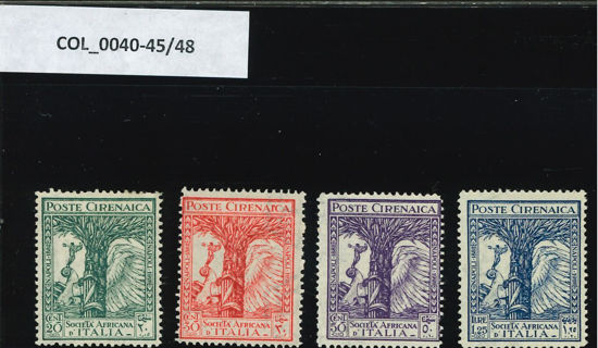 Immagine di 45 - SOC. AFRICANA