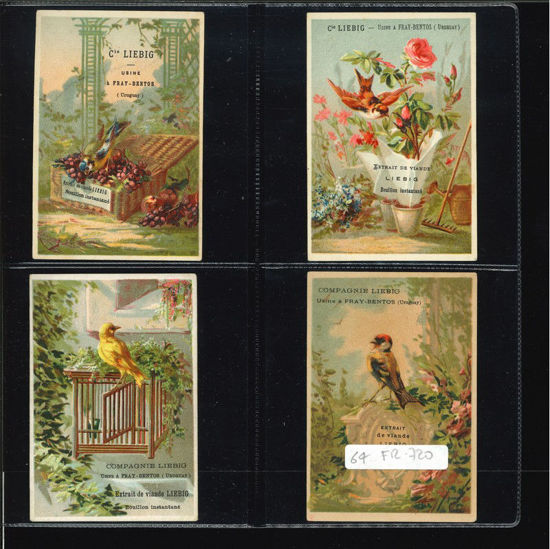 Immagine di 63 - UCCELLI 3° (piccoli)-FRANCESE