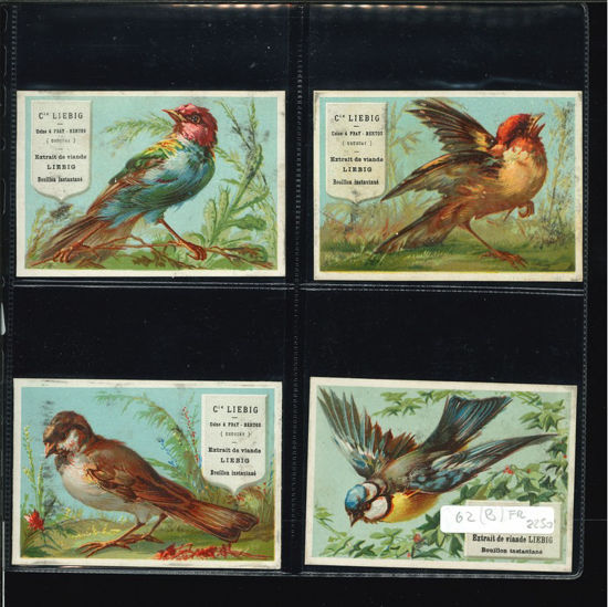 Immagine di 64 - UCCELLI 4° (grandi) 4 fig.II EDIZIONE-FRANCESE