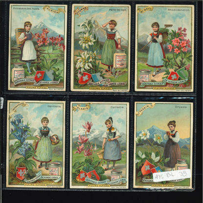 Immagine di 474 - FIORI ALPINI-BELGA