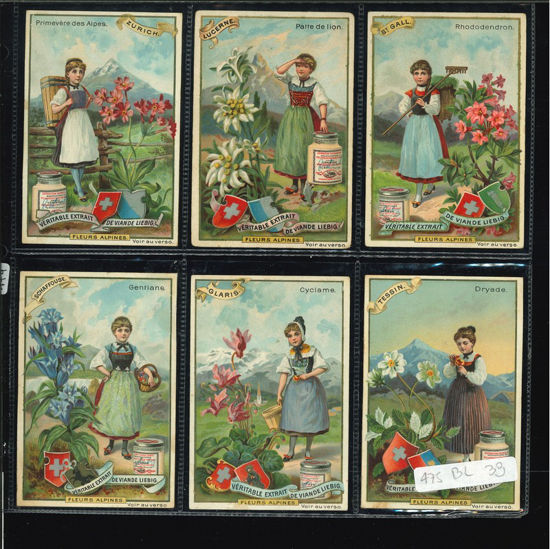 Immagine di 474 - FIORI ALPINI-BELGA