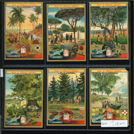 Immagine di 501 - ALBERI DI DIFFERENTI LATITUDINI-ITALIANA