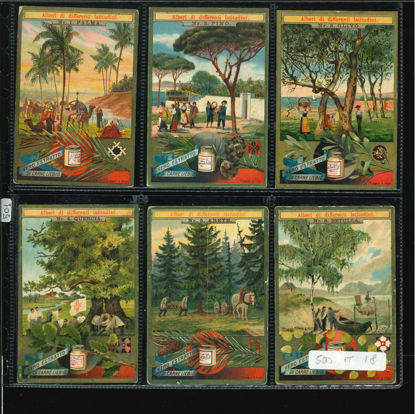 Immagine di 501 - ALBERI DI DIFFERENTI LATITUDINI-ITALIANA