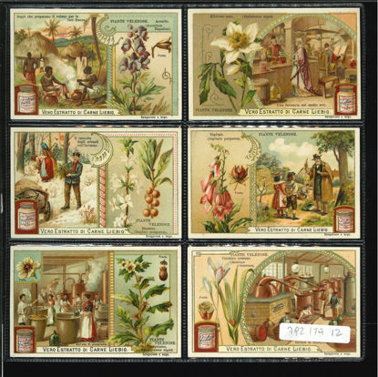 Immagine di 792 - PIANTE VELENOSE-ITALIANA