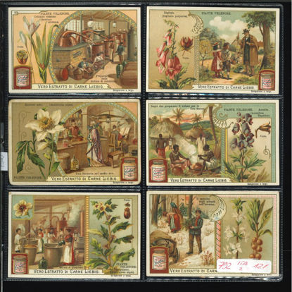 Immagine di 792 - PIANTE VELENOSE-ITALIANA