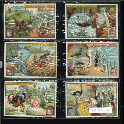 Immagine di 799 - UCCELLI UTILI-ITALIANA