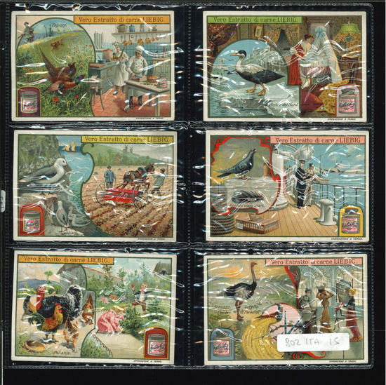 Immagine di 799 - UCCELLI UTILI-ITALIANA