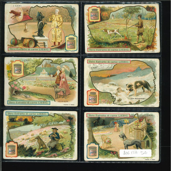 Immagine di 805 - I CANI 2°-ITALIANA