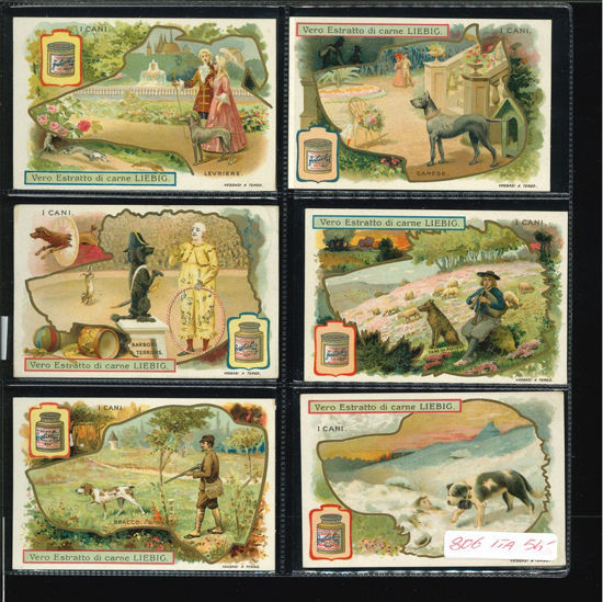 Immagine di 805 - I CANI 2°-ITALIANA