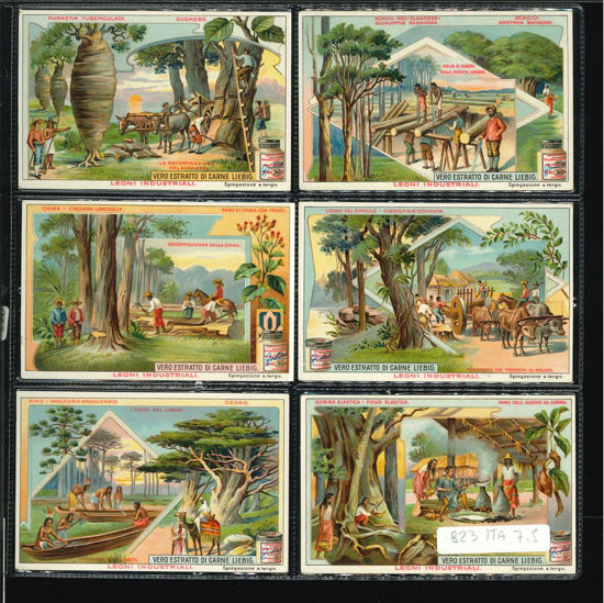 Immagine di 820 - LEGNI INDUSTRIALI-ITALIANA