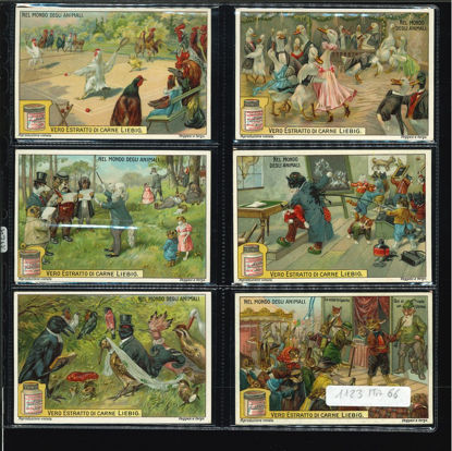 Immagine di 1124 - NEL MONDO DEGLI ANIMALI-ITALIANA
