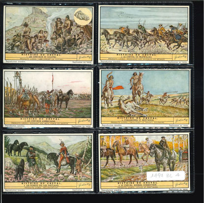 Immagine di 1507 - STORIA DEL CAVALLO - Histoire du cheval-BELGA