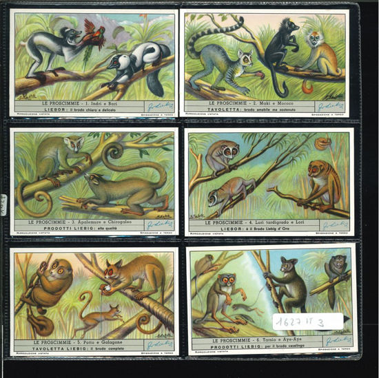 Immagine di 1627 - LE PROSCIMMIE-ITALIANA