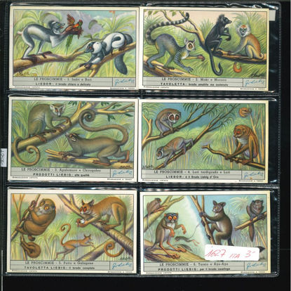 Immagine di 1627 - LE PROSCIMMIE-ITALIANA