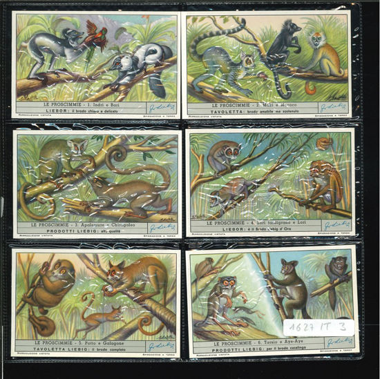 Immagine di 1627 - LE PROSCIMMIE-ITALIANA