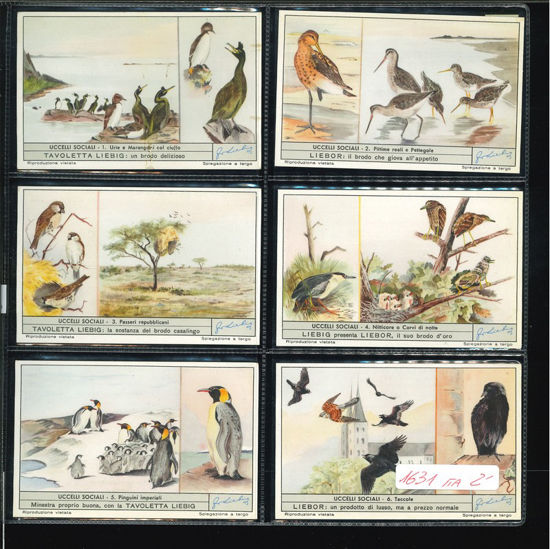 Immagine di 1633 - UCCELLI SOCIALI-ITALIANA