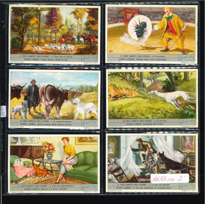 Immagine di 1636 - IL FIDO AMICO DELL'UOMO-ITALIANA