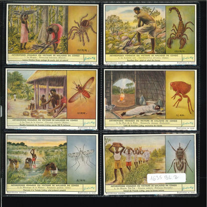 Immagine di 1637 - ARTROPODI VELENOSI DEL CONGO -BELGA